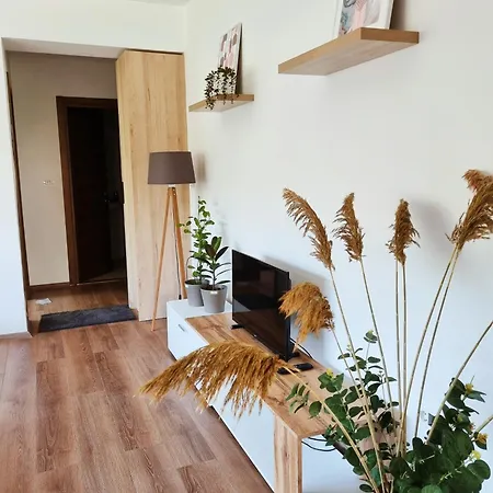 Cozy סקופיה