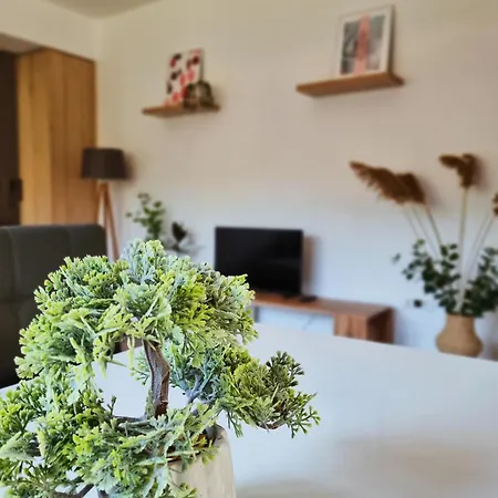 דירה Cozy