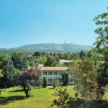 Cozy סקופיה